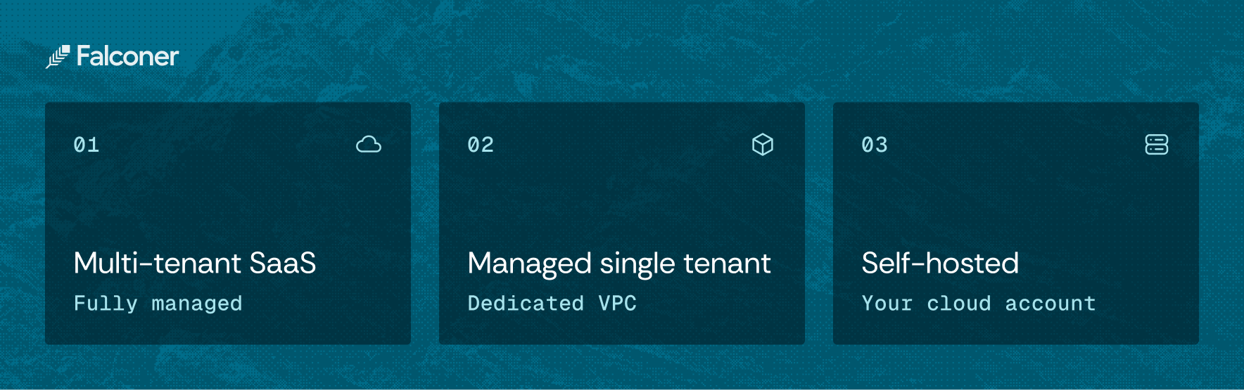 Falconer hosting options: fully managed multi-tenant SaaS, managed single tenant in a dedicated VPC, and self-hosted in your cloud account.
